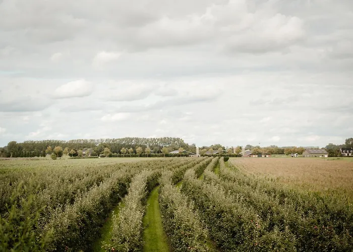 Apartment Heeren Acquoy