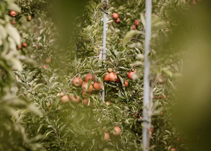 Apartment Heeren Acquoy