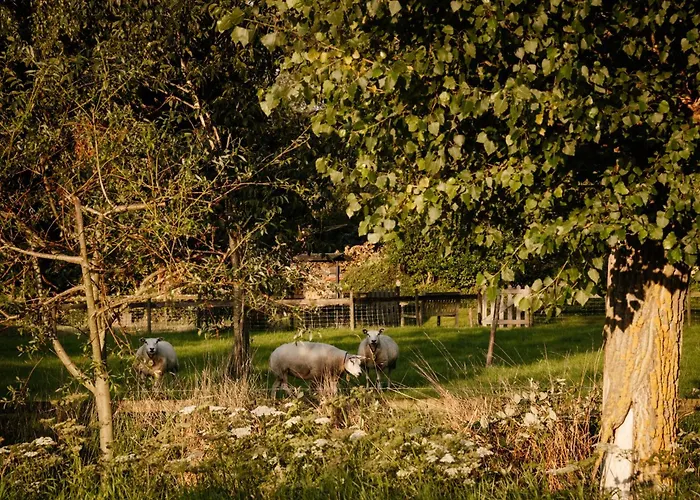 Apartment Heeren Acquoy